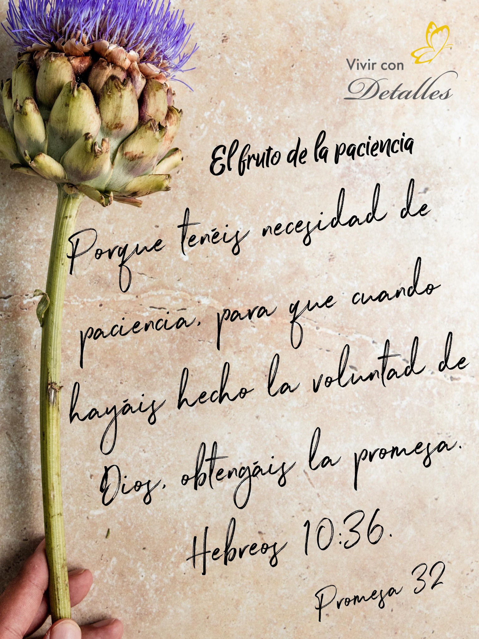 El fruto de la paciencia – Vivir con detalles